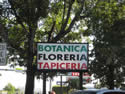 Botanica