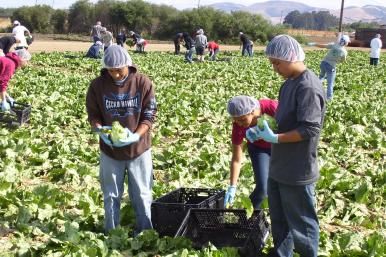 may 16 glean